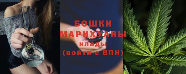 гашик Белокуриха