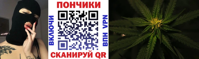 Бошки Шишки планчик  хочу   Кашира 